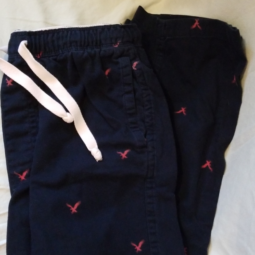 American Eagle PJ pants